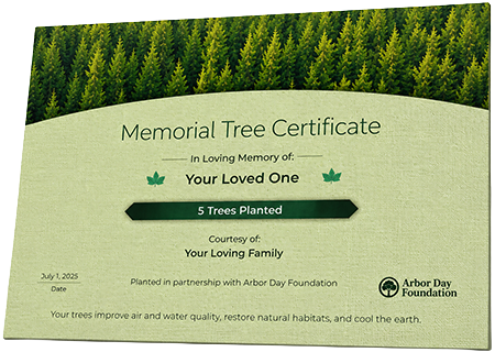 Plant Trees in Memory of Master Frankie Martin Washington